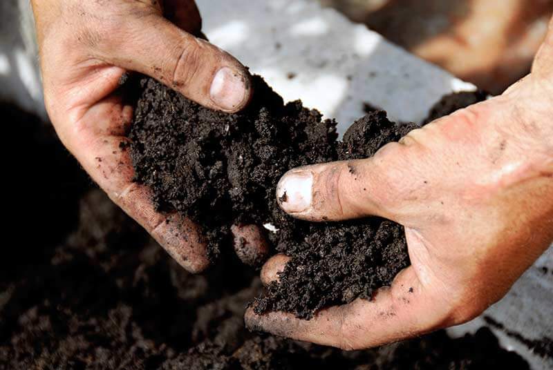 Fertilizers and Soil Amendments   